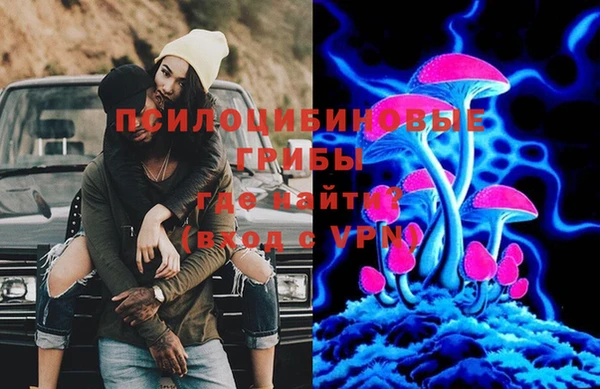 соль курить ск Новозыбков
