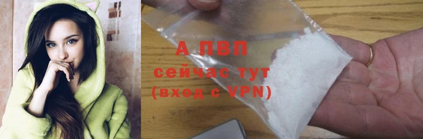 spice Покачи