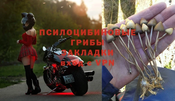 соль курить ск Новозыбков