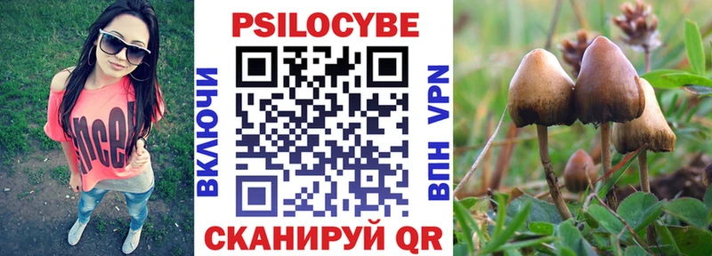 Псилоцибиновые грибы Cubensis  Серафимович 